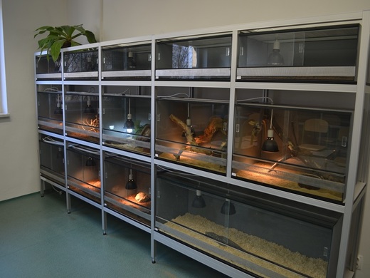A1814-01_P-04-00-00_R0_akvarium+terarium_03.jpg
