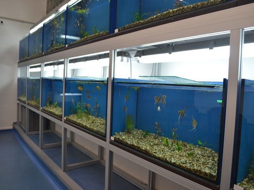 A1814-01_P-04-00-00_R0_akvarium+terarium_18.jpg