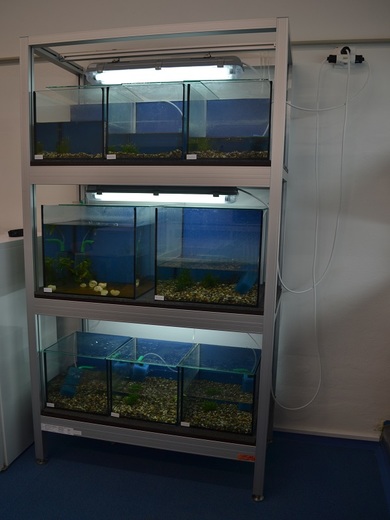 A1814-01_P-04-00-00_R0_akvarium+terarium_19.jpg