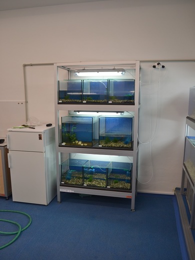 A1814-01_P-04-00-00_R0_akvarium+terarium_23.jpg