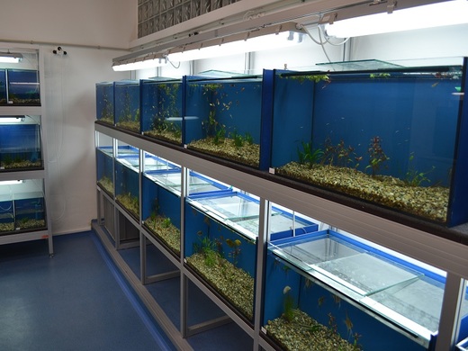 A1814-01_P-04-00-00_R0_akvarium+terarium_24.jpg