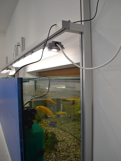 A1814-01_P-04-00-00_R0_akvarium+terarium_26.jpg